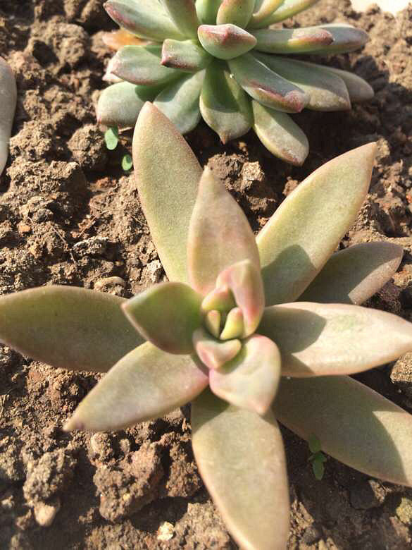 ��������һ��