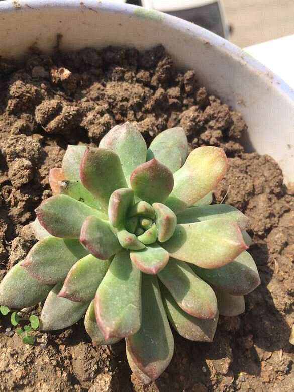 ��������һ��