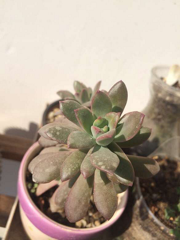 ��������һ��