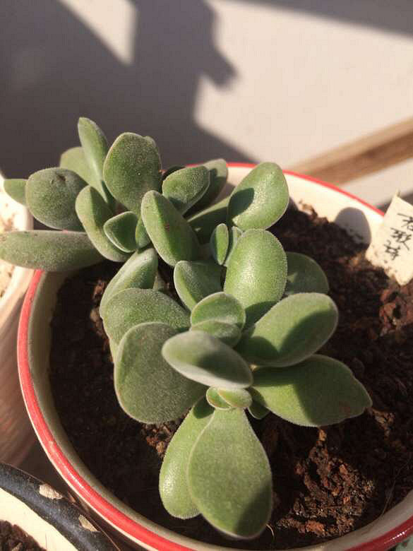 ��������һ��