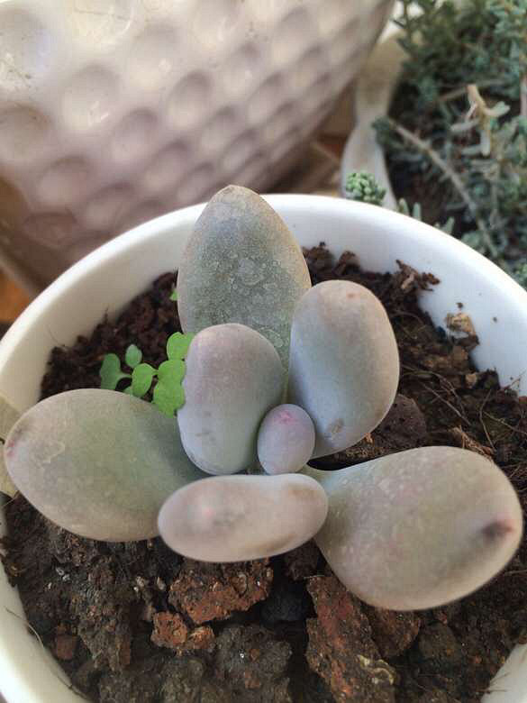 ��������һ��