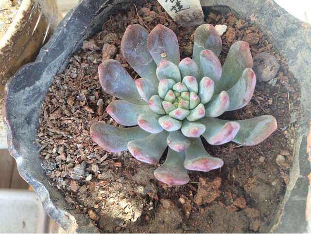 ��������һ��