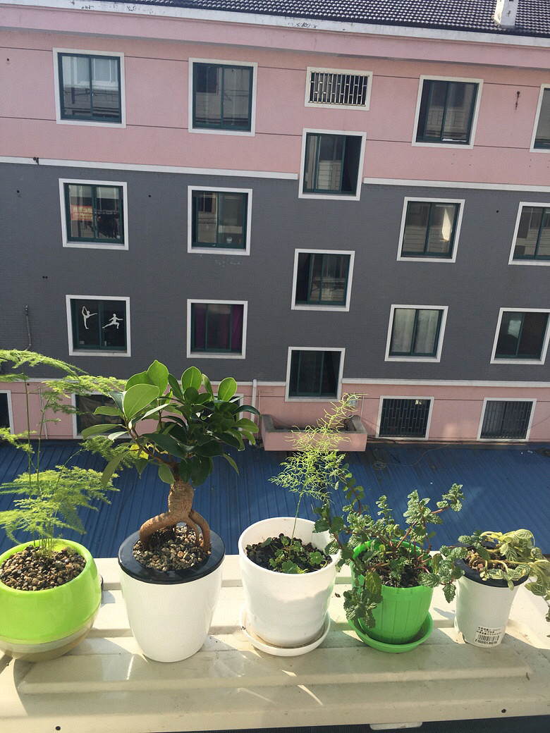 С���������᲻���е����