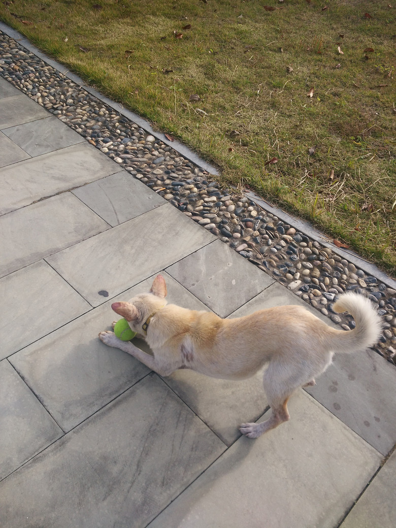 ̨��ѧԺ�������˹������������