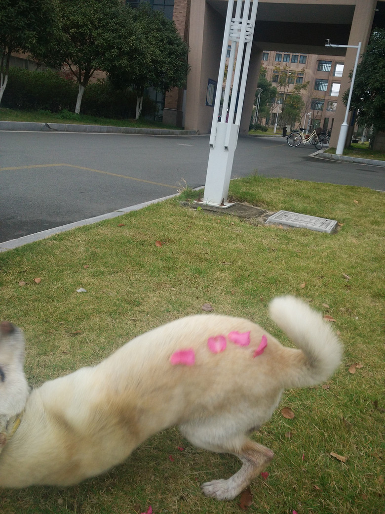 ̨��ѧԺ�������˹������������