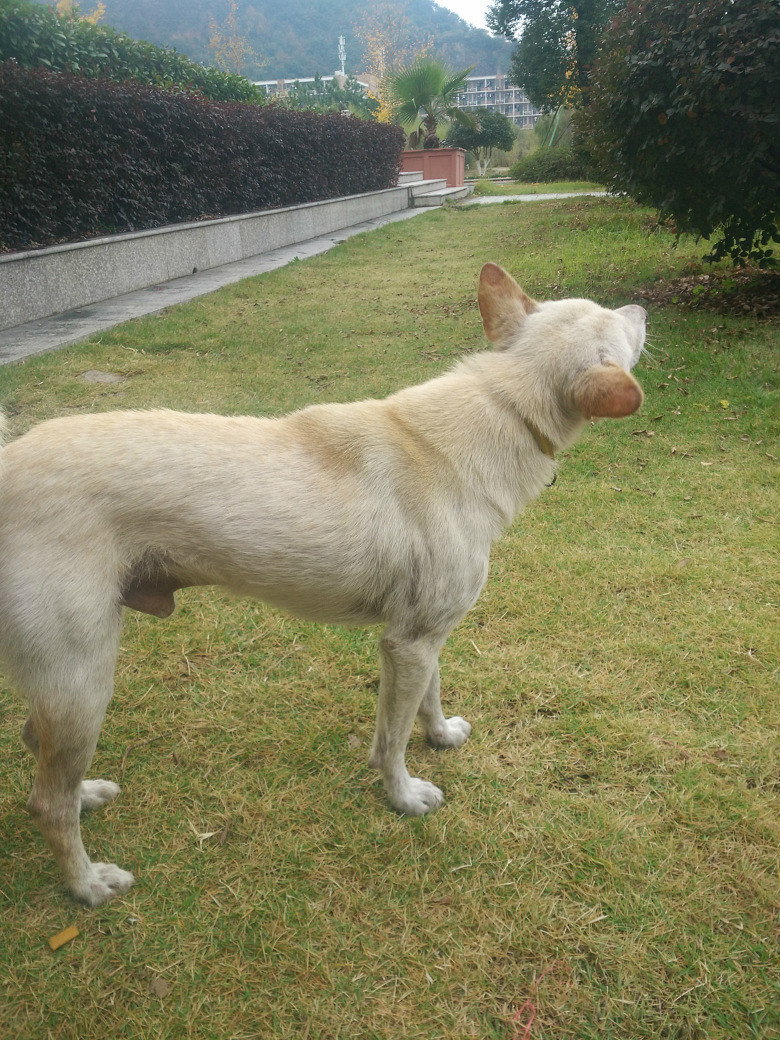 ̨��ѧԺ�������˹������������