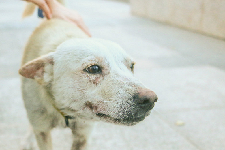 ̨��ѧԺ�������˹������������