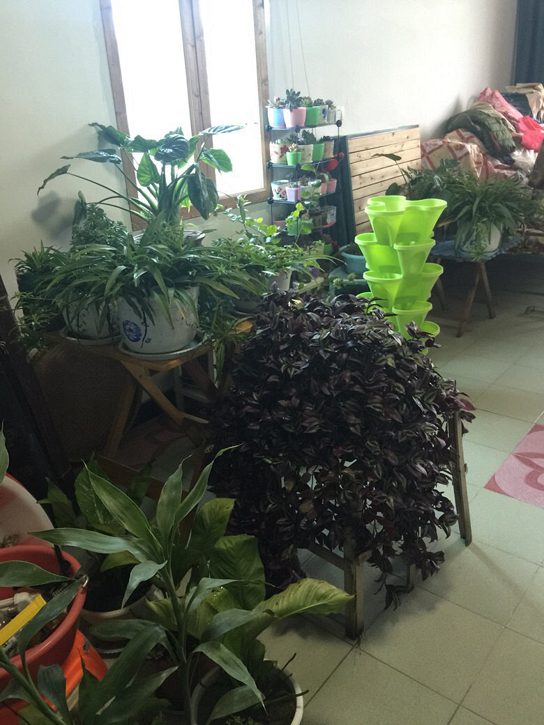 �캮�ض����ܿ��ˡ���