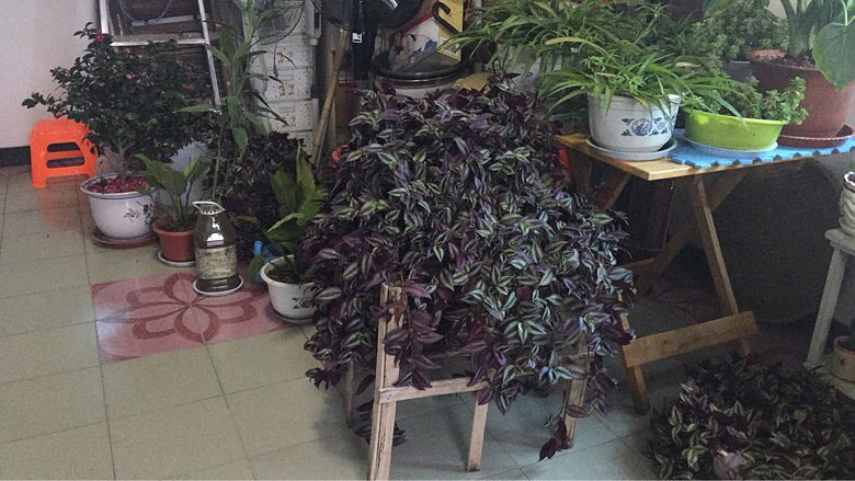 �캮�ض����ܿ��ˡ���