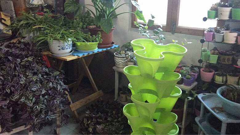 �캮�ض����ܿ��ˡ���