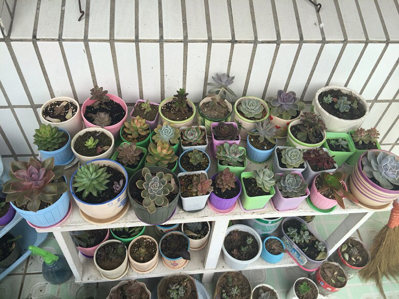 �캮�ض����ܿ��ˡ���