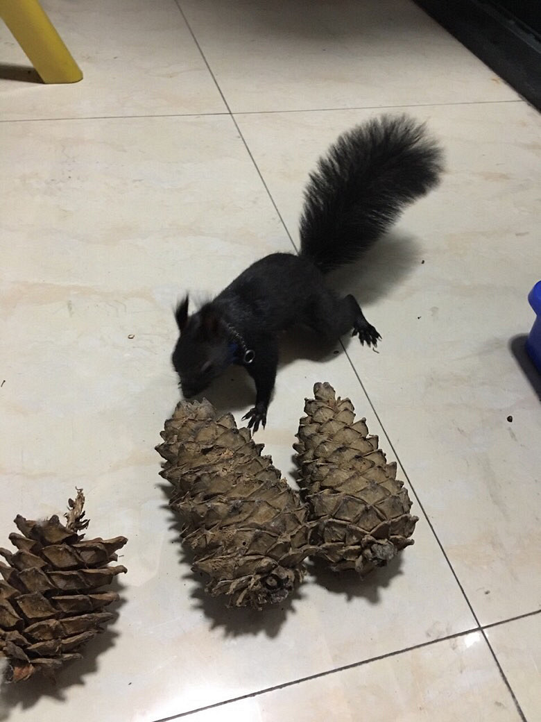 ����̫��