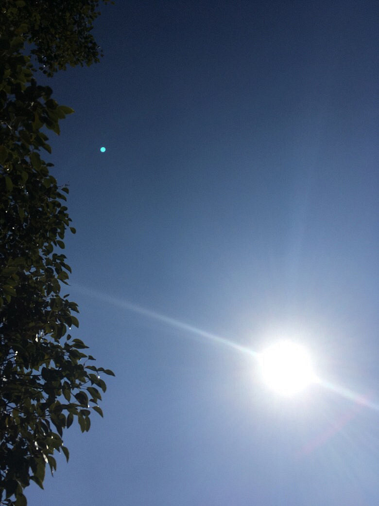 ���������������̫����