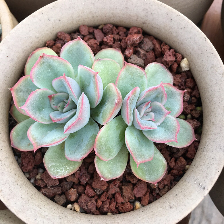 �����д���Ϳ�����������