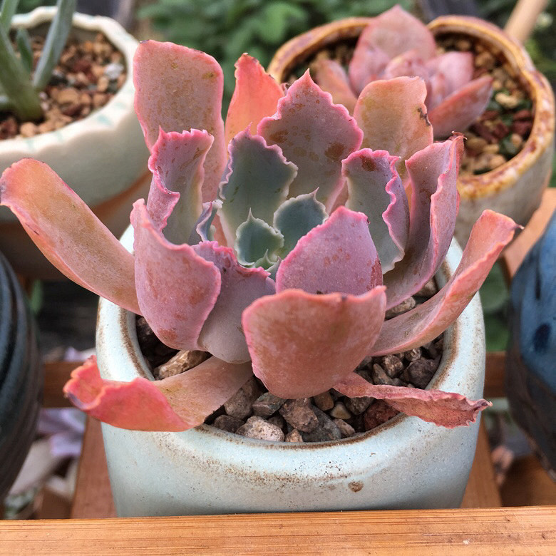 �����д���Ϳ�����������