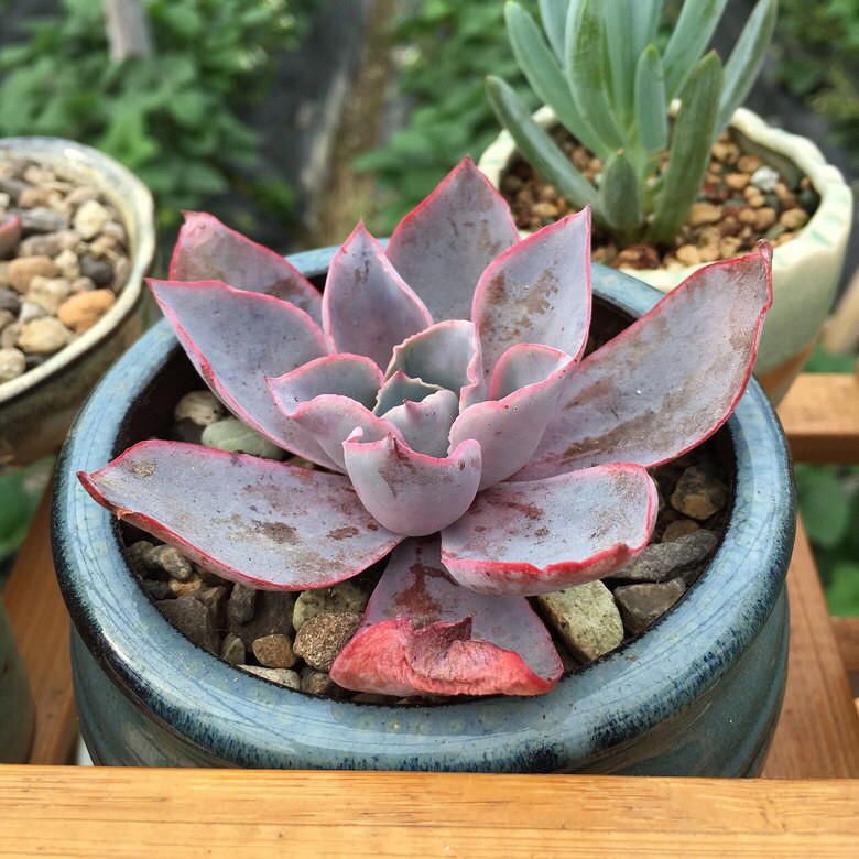 �����д���Ϳ�����������