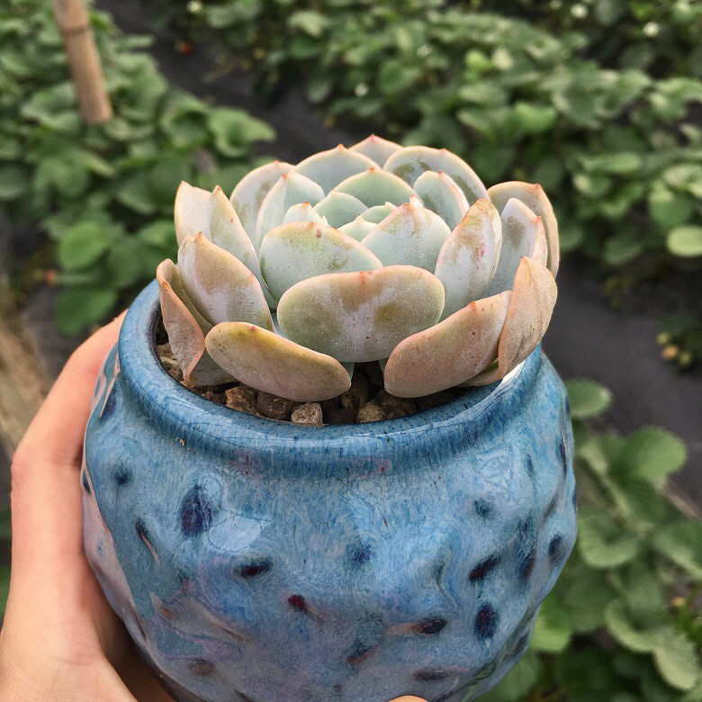 �����д���Ϳ�����������