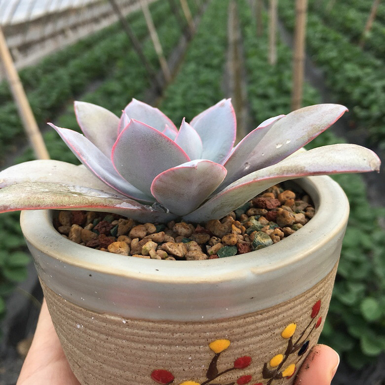 �����д���Ϳ�����������