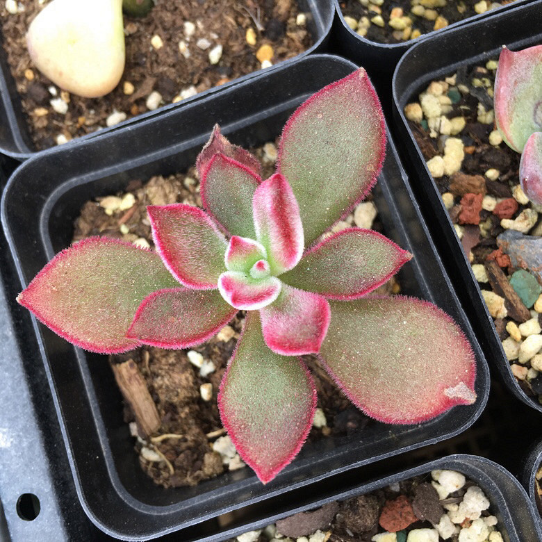 �����д���Ϳ�����������