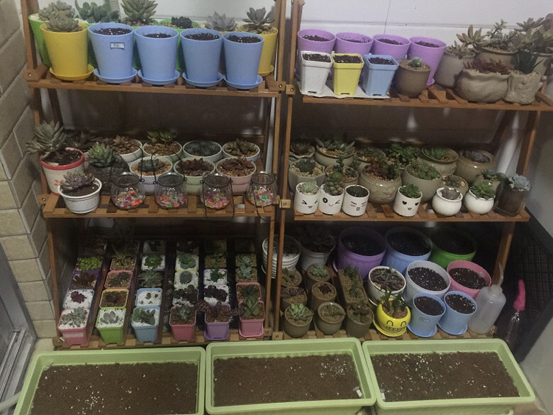 ����ȫ���ᵽ�¼Ұ����仧�ˣ�ʣ�����ͺú�