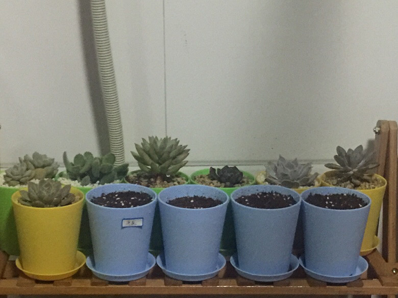 ����ȫ���ᵽ�¼Ұ����仧�ˣ�ʣ�����ͺú�