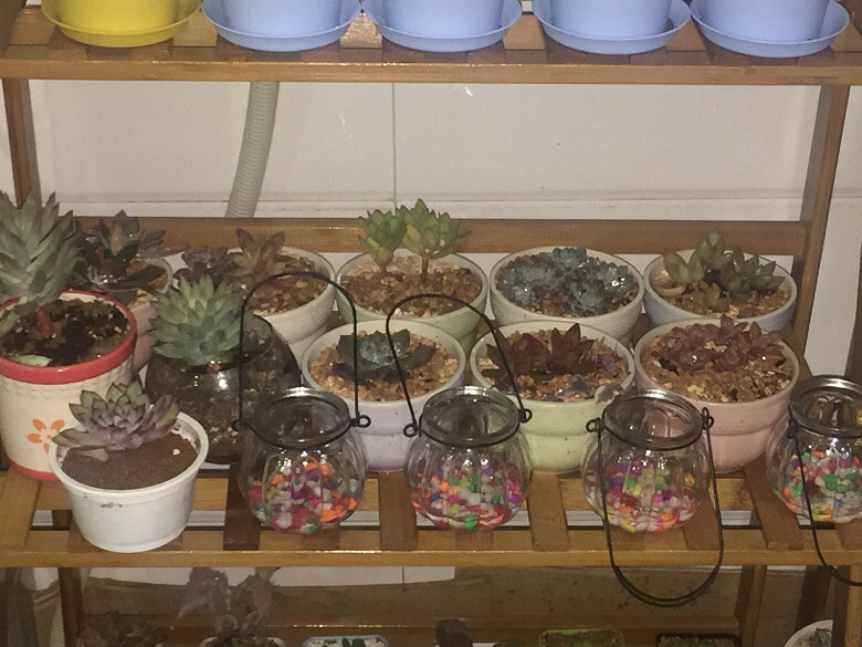 ����ȫ���ᵽ�¼Ұ����仧�ˣ�ʣ�����ͺú�