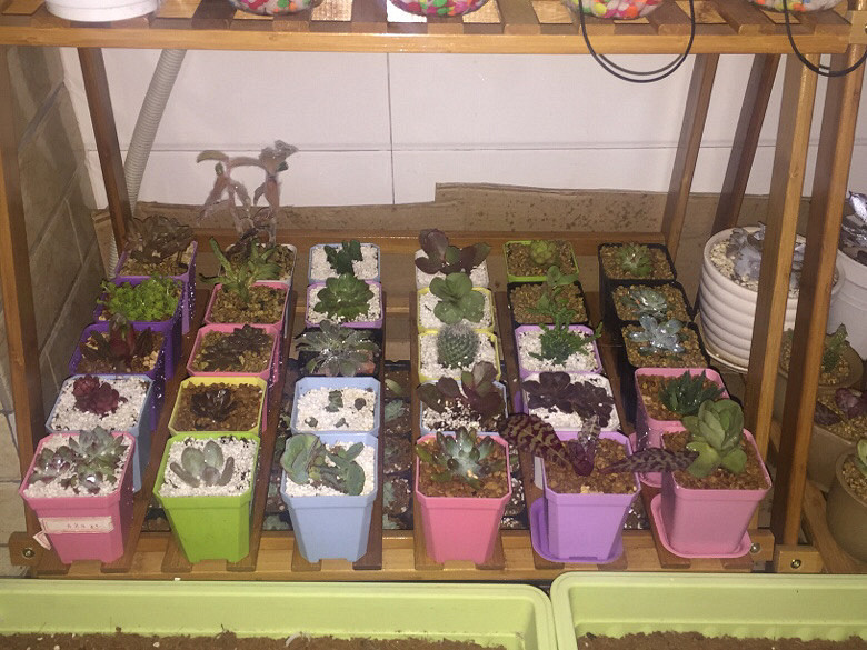 ����ȫ���ᵽ�¼Ұ����仧�ˣ�ʣ�����ͺú�