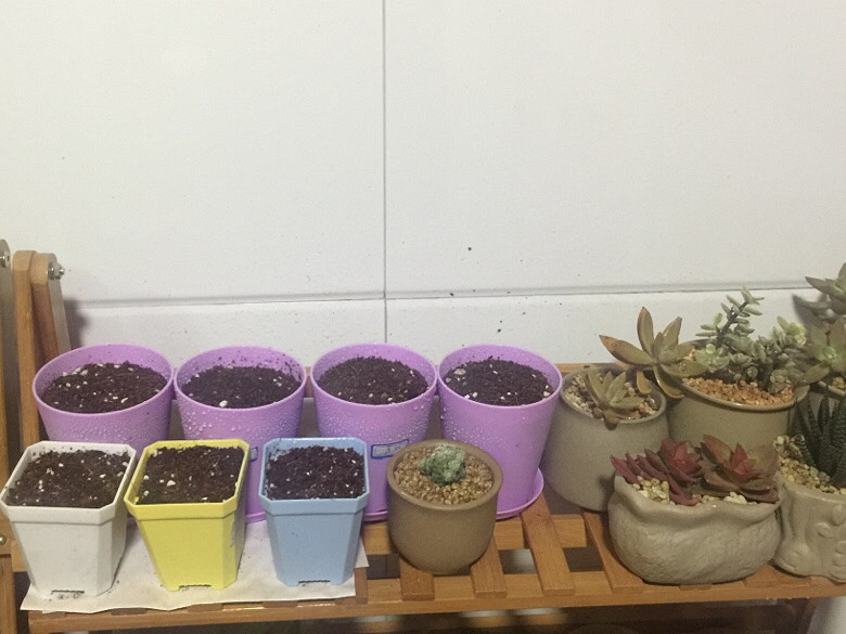 ����ȫ���ᵽ�¼Ұ����仧�ˣ�ʣ�����ͺú�