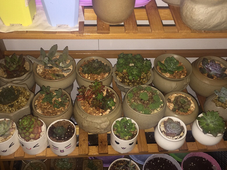 ����ȫ���ᵽ�¼Ұ����仧�ˣ�ʣ�����ͺú�