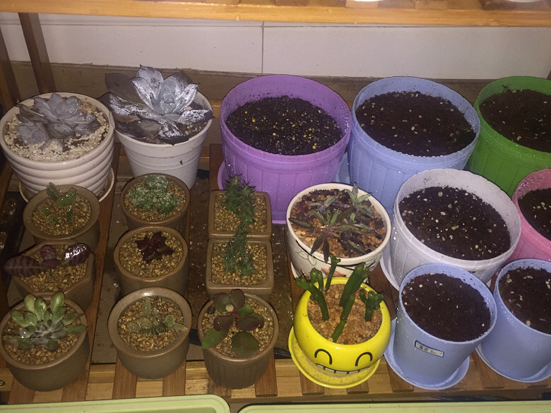 ����ȫ���ᵽ�¼Ұ����仧�ˣ�ʣ�����ͺú�