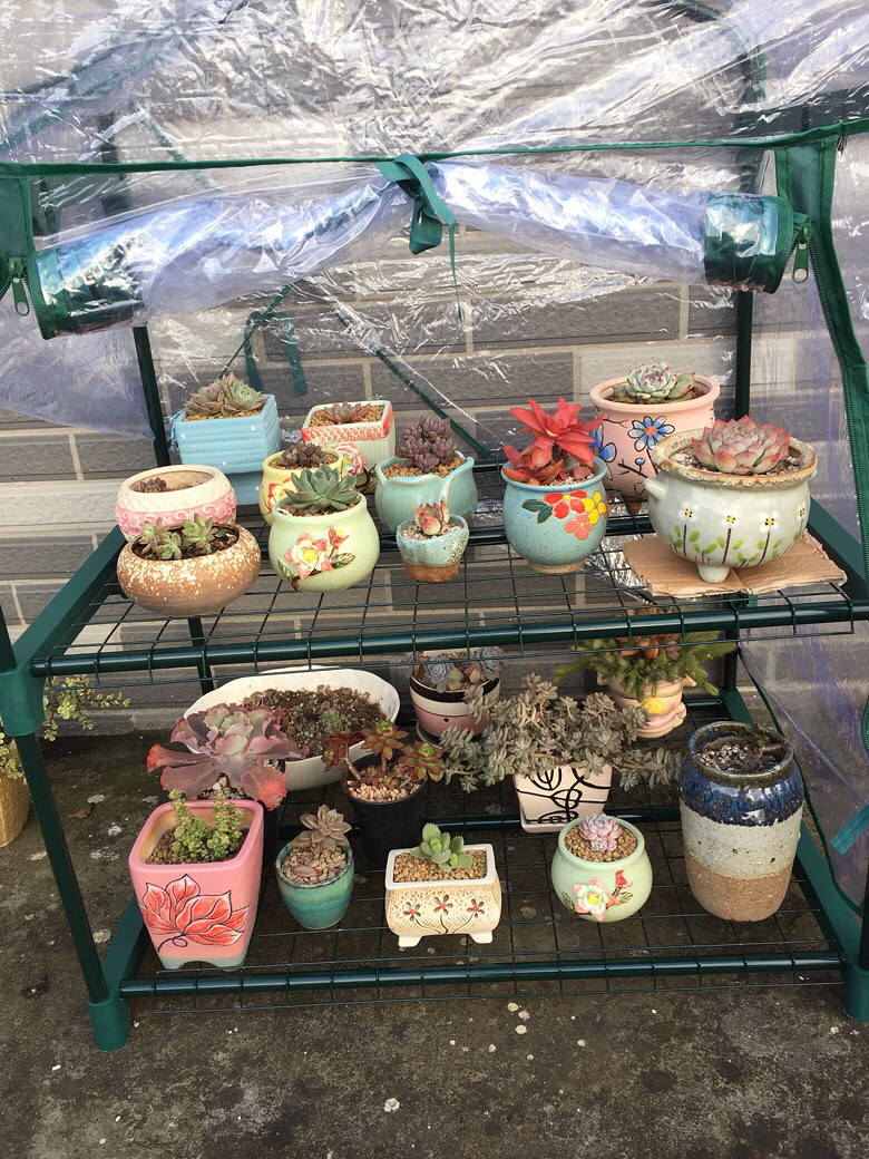 �ص�����С����