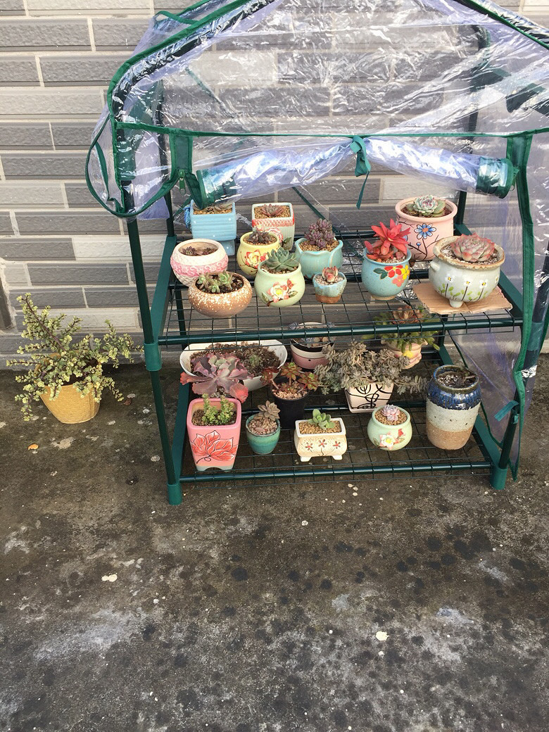 �ص�����С����