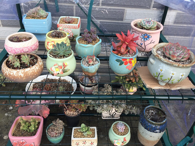 �ص�����С����