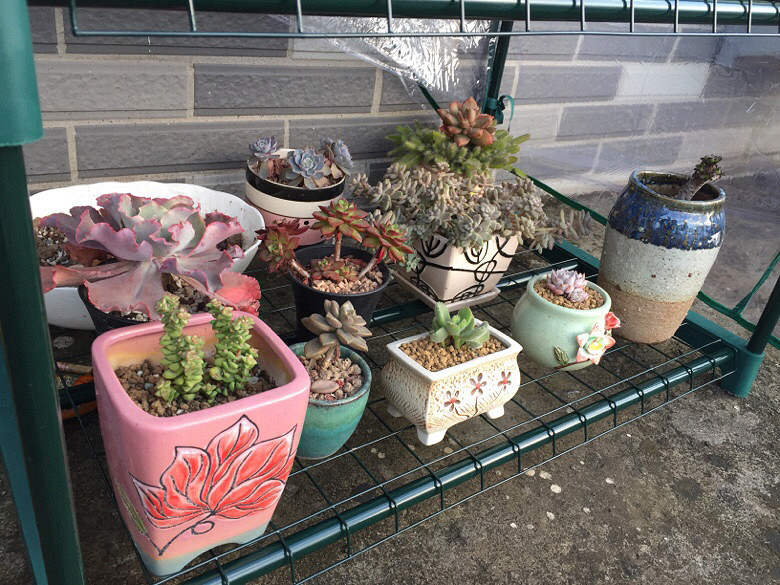 �ص�����С����