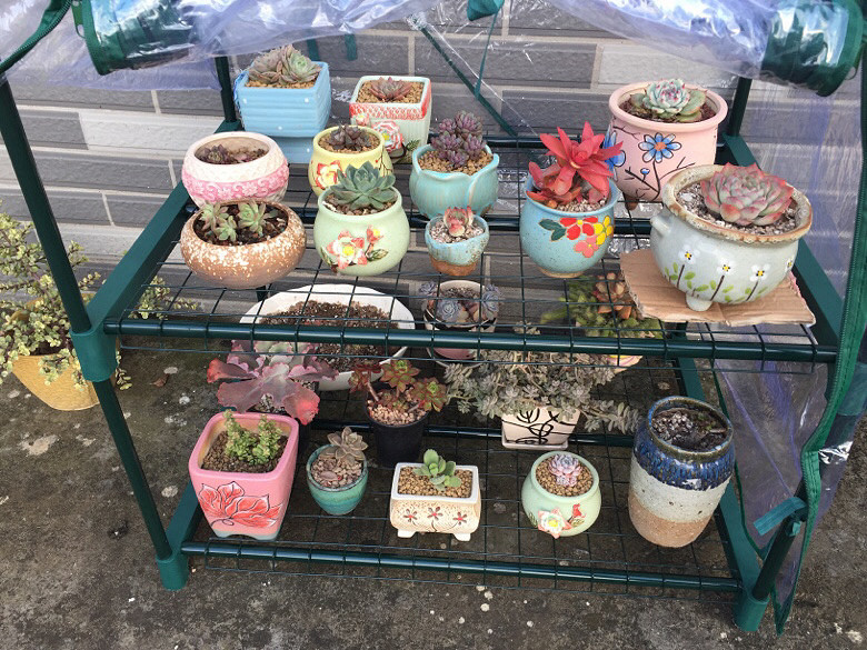 �ص�����С����