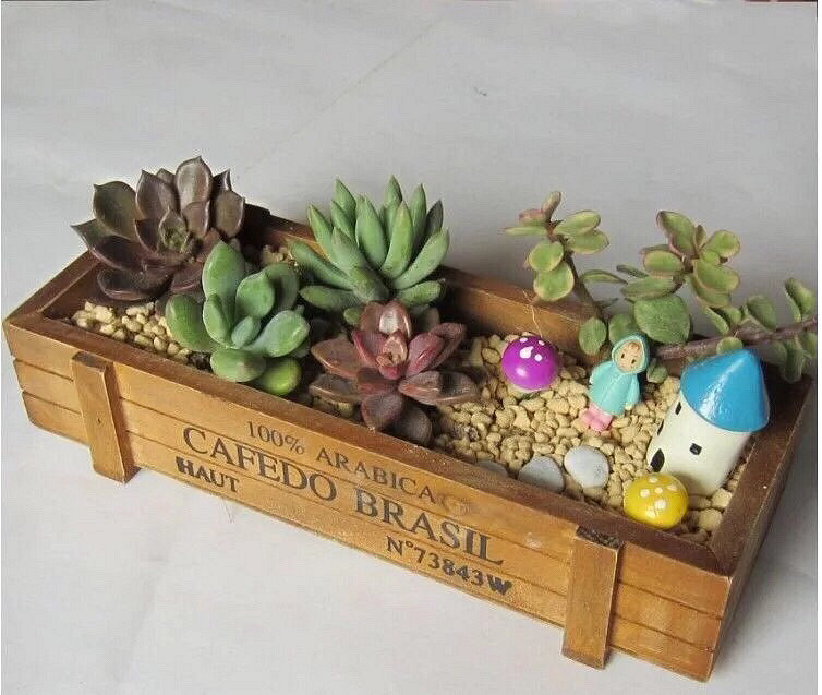 ����Ʊ����ҼҵĶ���������