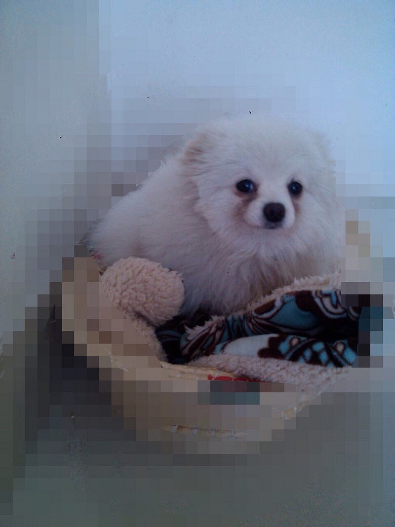 Ѱ������