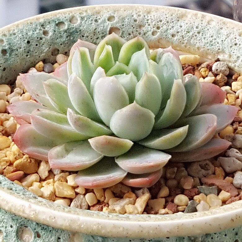 ���춬�����Ƿ������Ǵ����������꣬�����