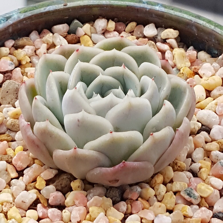 ���춬�����Ƿ������Ǵ����������꣬�����