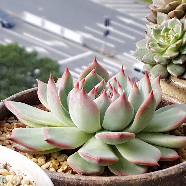 ���춬�����Ƿ������Ǵ����������꣬�����