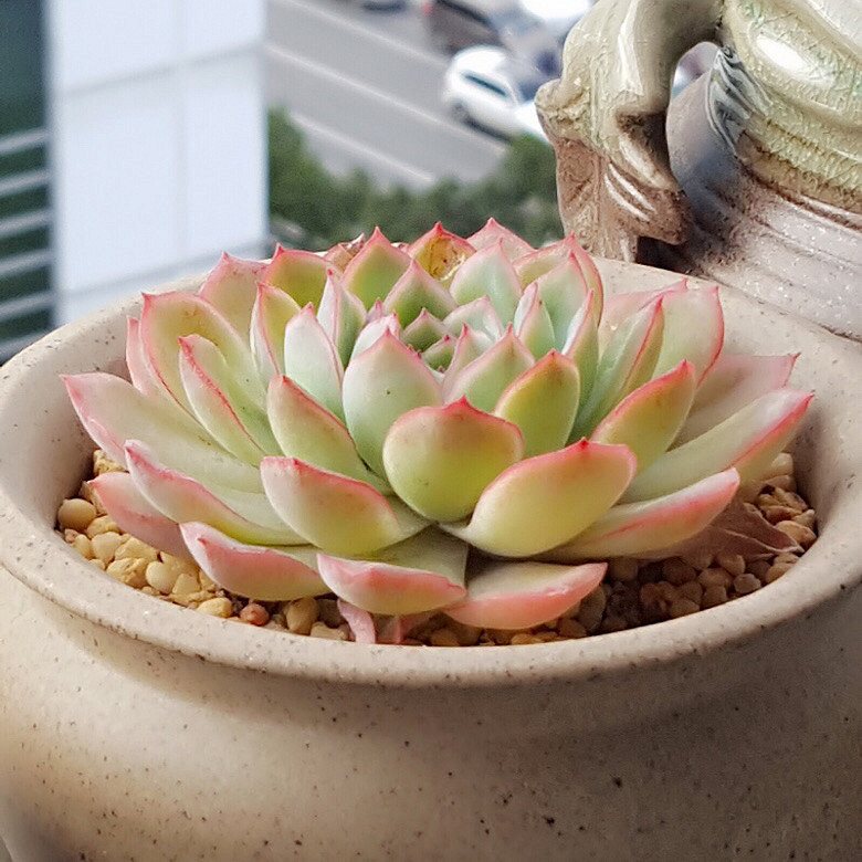 ���춬�����Ƿ������Ǵ����������꣬�����