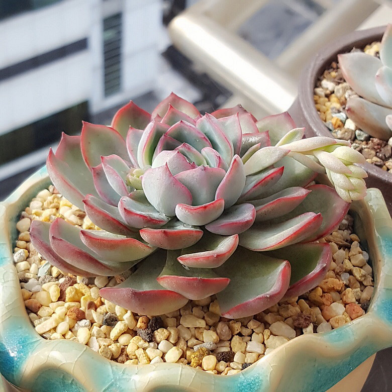 ���춬�����Ƿ������Ǵ����������꣬�����