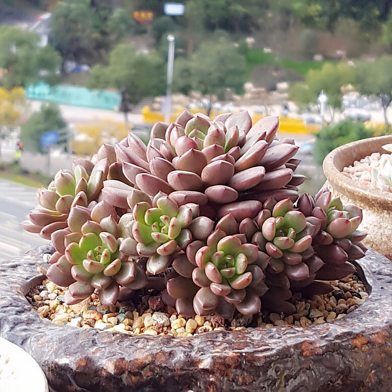 ���춬�����Ƿ������Ǵ����������꣬�����