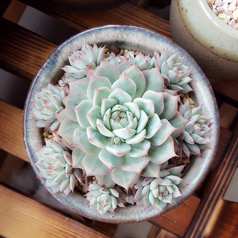 ���춬�����Ƿ������Ǵ����������꣬�����