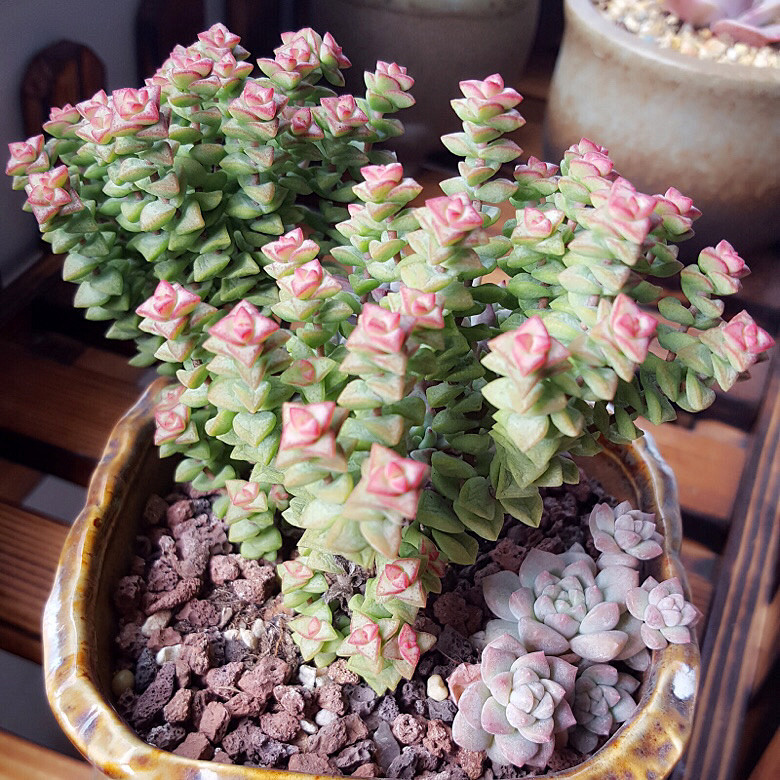 ���춬�����Ƿ������Ǵ����������꣬�����