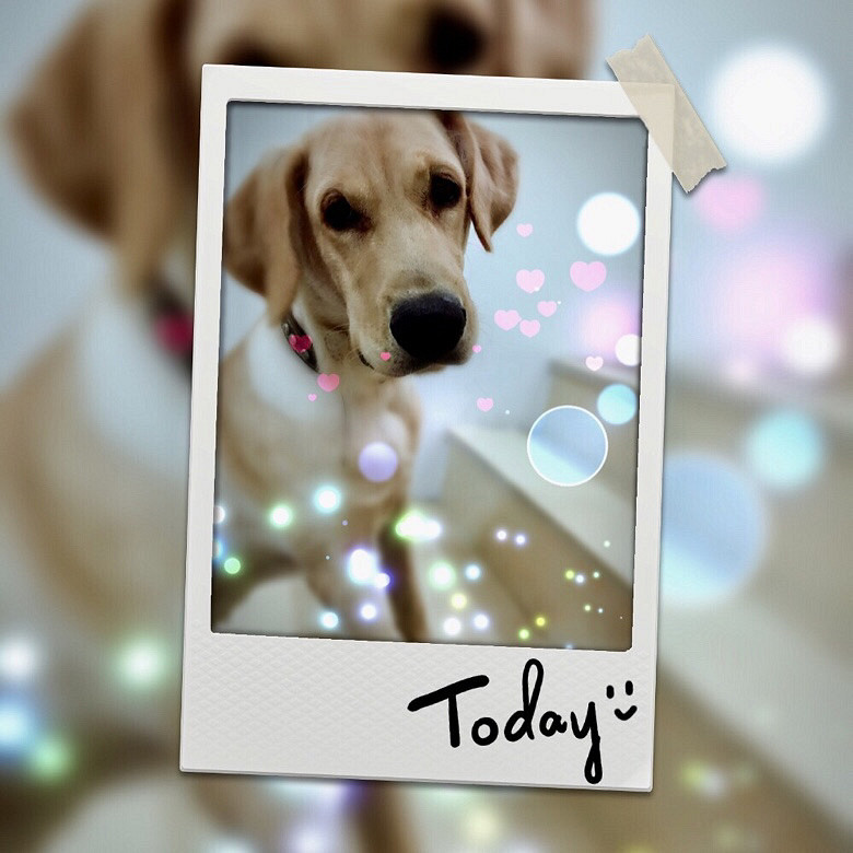 �Ҹ�ĸ������������