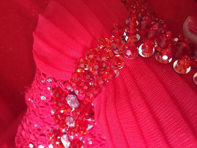 12��2�մ�飬��ת�ô��ɫ����β����ɴ