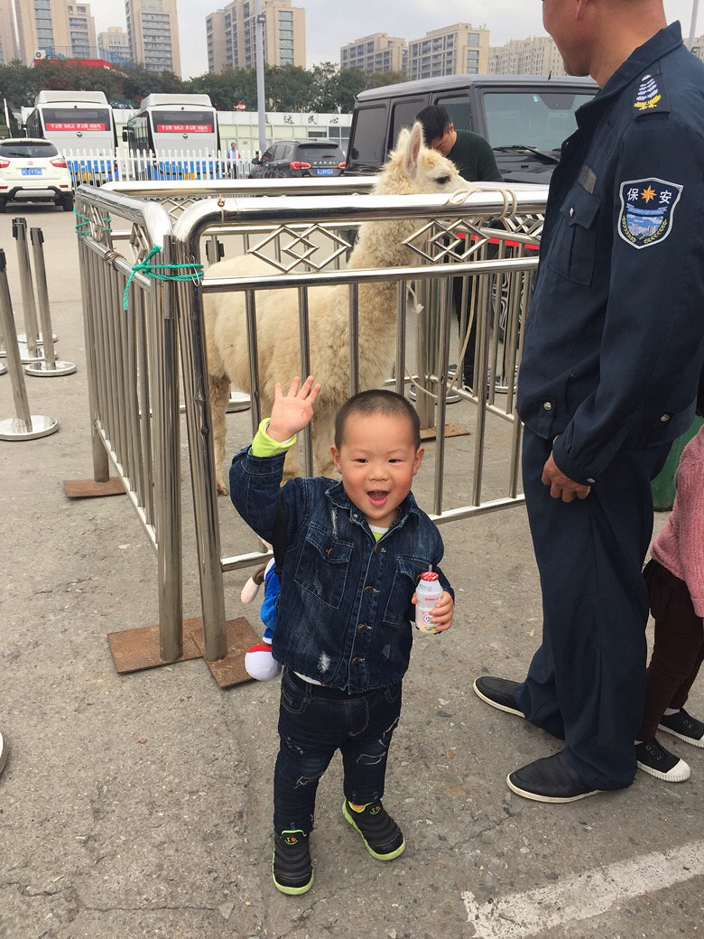 ����Ҫ��������Ʊ��Ԫ�����ú�ȥ��cosplay