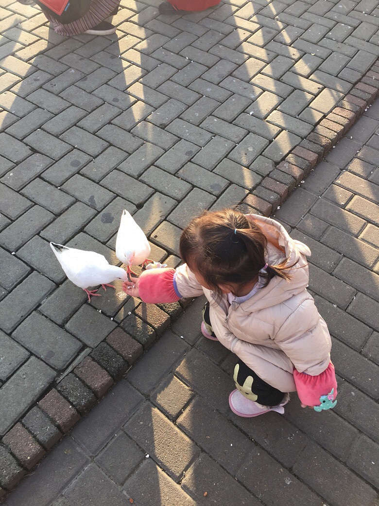 ����Ҫ��������Ʊ��һ��ȥ������