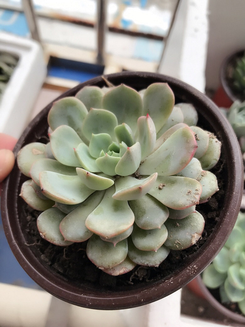 �Ҽ�����